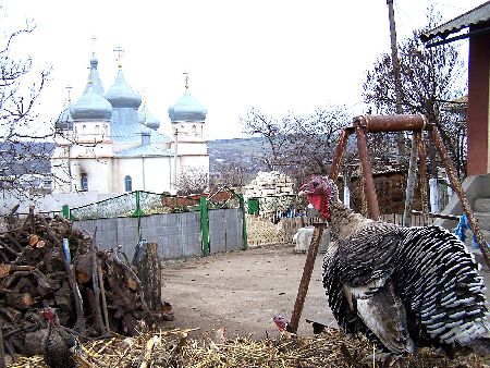10 MIHAILOVCA MARZO 2008.JPG