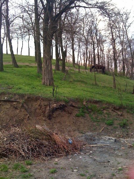 photo.jpg