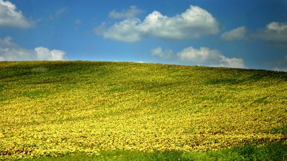 Immagine 210.jpg