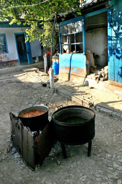 Immagine 244.jpg