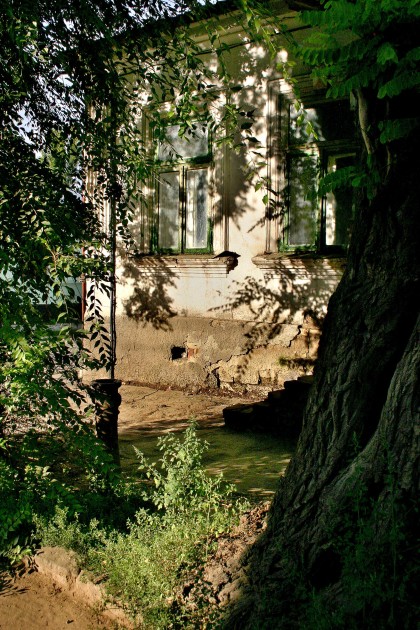 Immagine 466.jpg