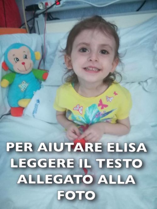 elisa.jpg
