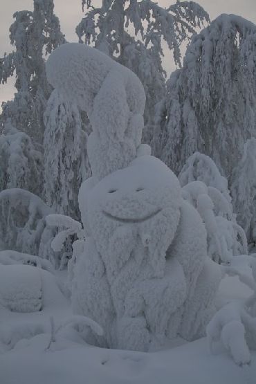 foto.JPG