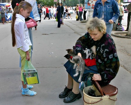 Immagine 452.jpg