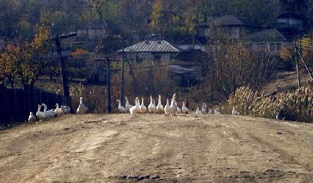 foto.jpg